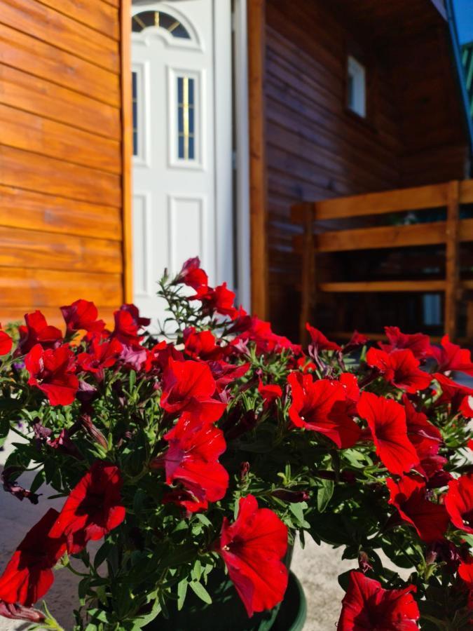 Cottage Danilo Žabljak Eksteriør billede